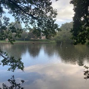 Meet your Posher, Barbara